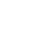 NitX Logo _white